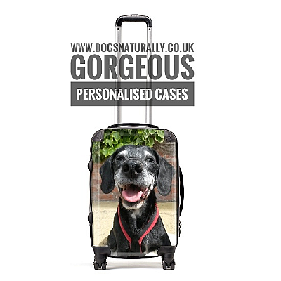 Personalised Cabin Bag - Small Suitcase